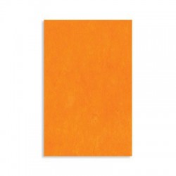 100 Chemises - 180g - 24x32 - Orange - 5 ETOILES