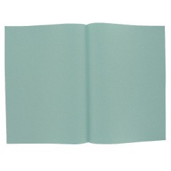 250 Sous-chemises - 60g - 22x31 - Bleu clair - 5 ETOILES