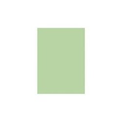 5ET P/250 S/CHEM 60G 22X31 VT