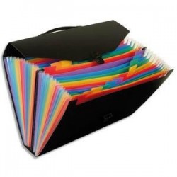 Valise/Trieur - 24 comp - RAINBOW - PP - Noir - VIQUEL