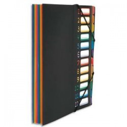 Trieur/Bureau - RAINBOW - 12 Compart - Noir - VIQUEL