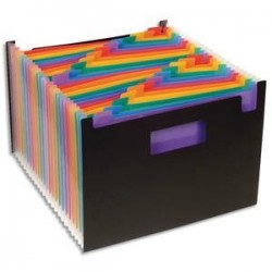 Trieur  - SEAT CASE - RAINBOW - 24 Comp - PP Noir - VIQUEL