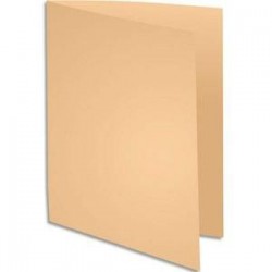 Pqt 100 Chemises - SUPER 250 - 210g - Bulle - EXACOMPTA