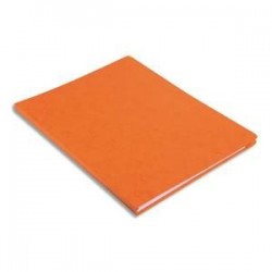 Chemise - LUSTRO- Pour A4 - D1,5 à 3,5cm - Orange - EXACOMPTA