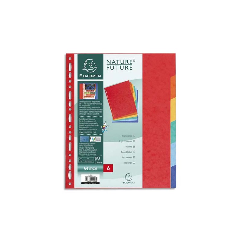 EXACOMPTA Jeu d'intercalaires 6 positions format 24x30cm pour pochettes perforées. Carte lustrée 3/10e.