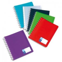VIQUEL Protège documents MAXI GEODE 60 vues en polypro translucide 7/10ème, coloris assortis