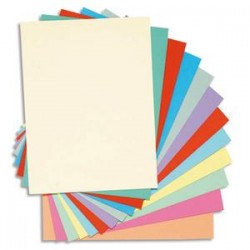 EXACOMPTA Paquet de 100 chemises JURA PEAU en carte 160 grammes assortis