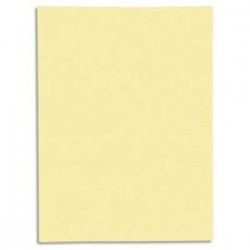 EXACOMPTA Paquet de 50 chemises 1 rabat JURA 250 en carte 240 grammes jaune