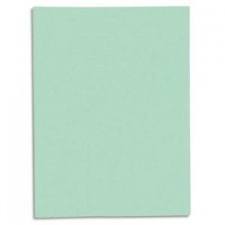 EXACOMPTA Paquet de 50 chemises 1 rabat JURA 250 en carte 240 grammes vert