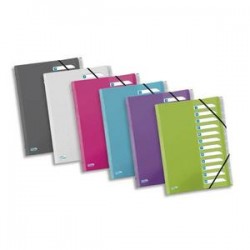 ELBA Trieur HAWAI 12 positions en polypropylène. Fermeture par élastique. Coloris Assortis.