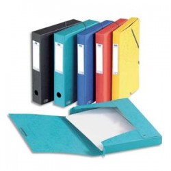 ELBA Boîte de classement EUROFOLIO carte lustrée, dos 6 cm, fermeture élastique, 24x32 cm, assortis