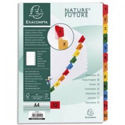 EXACOMPTA Jeu d'intercalaire numérique 12 positions en carte blanche 170g, onglets Mylar®. Format A4.