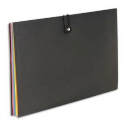 VIQUEL Trieur horizontal RAINBOW 8 compartiments en polypro 8/10, noir intérieur multicolore