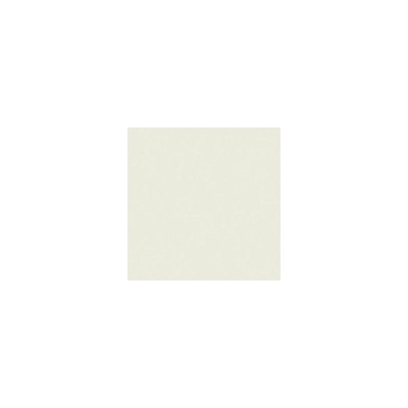 CLAIREFONTAINE Ramette de 500 feuilles papier couleur TROPHEE 80 grammes format A3 gris perle 1251