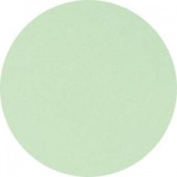 CLAIREFONTAINE Ramette de 500 feuilles papier couleur TROPHEE 80 grammes format A4 vert golf 1777