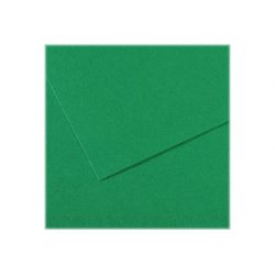 CANSON Manipack de 25 feuilles papier dessin MI-TEINTES 160g 50x65cm Vert