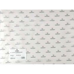 CANSON Feuille de papier buvard 250g 50x65cm Blanc