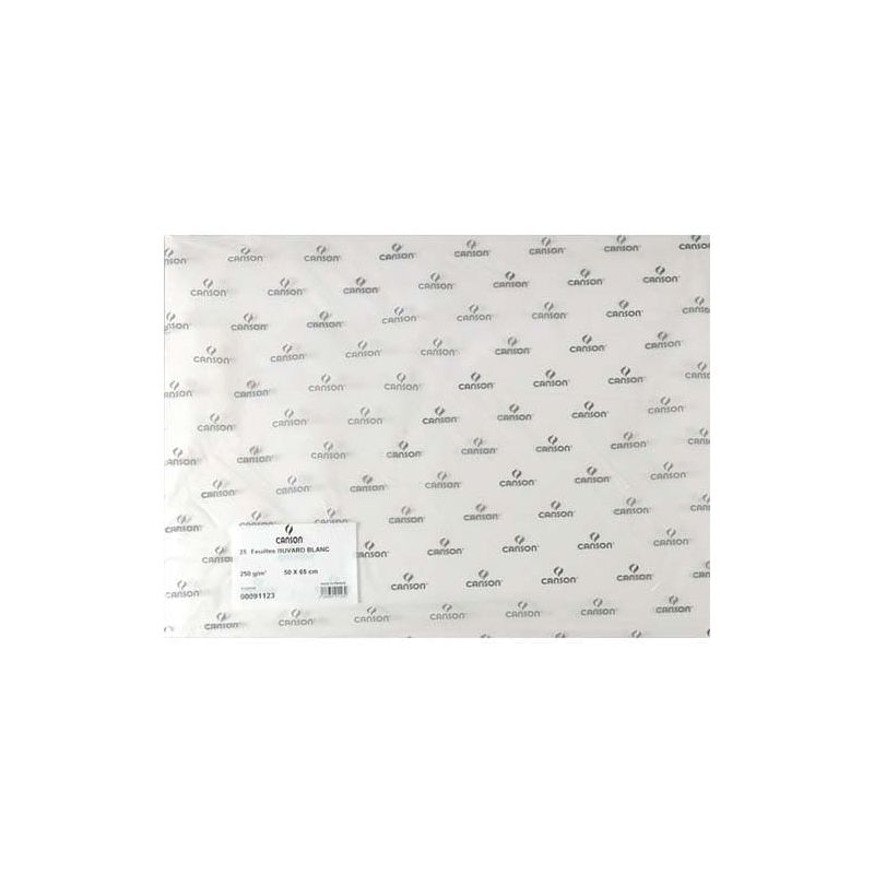 CANSON Feuille de papier buvard 250g 50x65cm Blanc