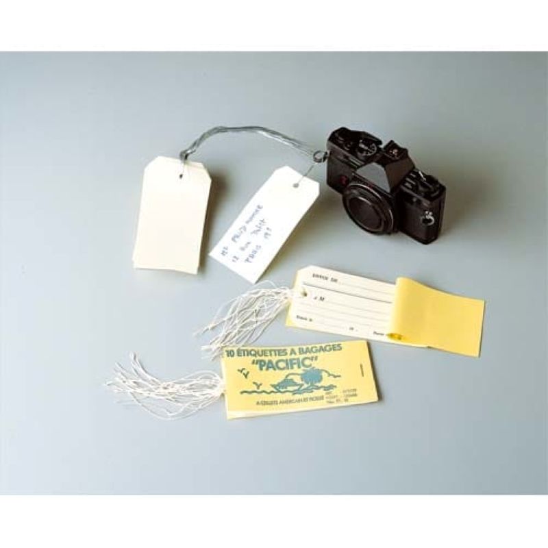 AVERY Boîte de 1000 étiquettes américaines 100x51mm + attache fil de fer