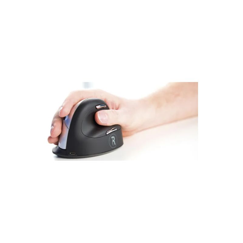 R-GO TOOLS Souris ergonomique sans fil verticale droite grande