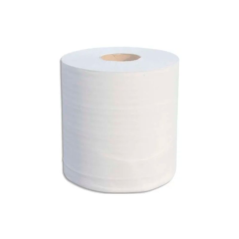 Lot de 6 Bobines d'essuyage 2 plis 700 formats 25 x 19,5 cm - L175 m, bobine D19,5 cm Blanc Eco