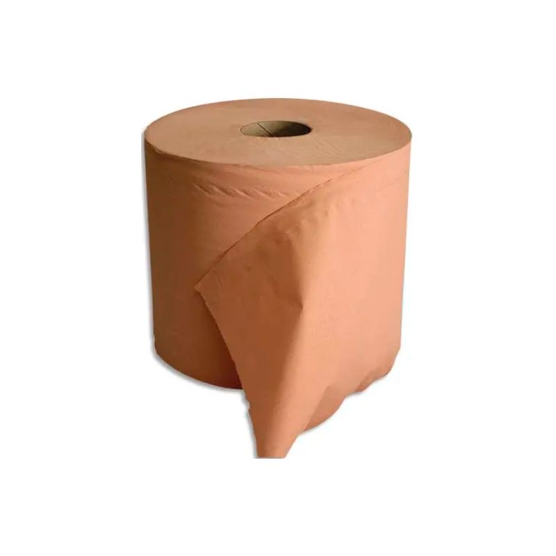 Lot de 2 Bobine d'essuyage 2 plis 1000 formats 30 x 21 cm - L300 m, bobine D25 cm chamois Eco
