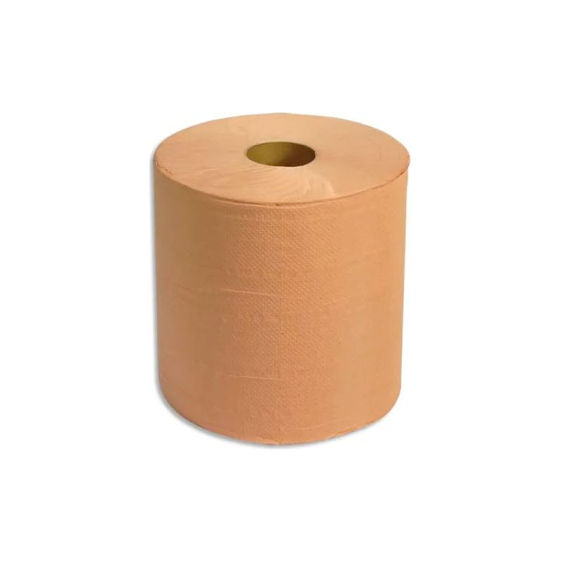 Lot de 2 Bobines d'essuyage 800 formats chamois 2 plis gaufrée - Format : 30 x 26 cm