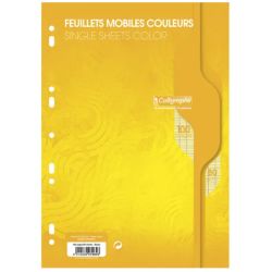 CALLIGRAPHE Feuillets mobiles jaune perf 2trous 80g 100pges grands carreaux format A4-Sous film-CAL7000