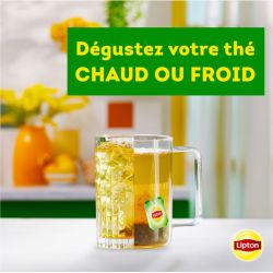 LIPTON: 30 sachets Thé vert